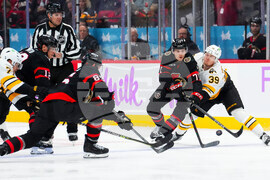 Bruins Senators Hockey