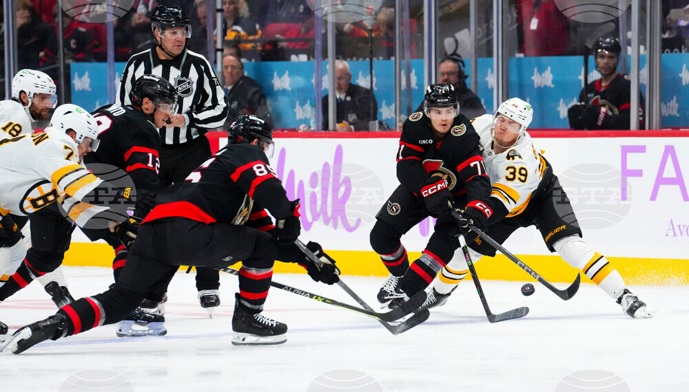 Bruins Senators Hockey