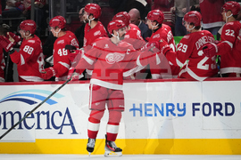 Ducks Red Wings Hockey