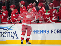 Ducks Red Wings Hockey