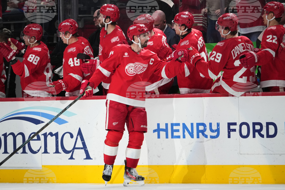 Ducks Red Wings Hockey