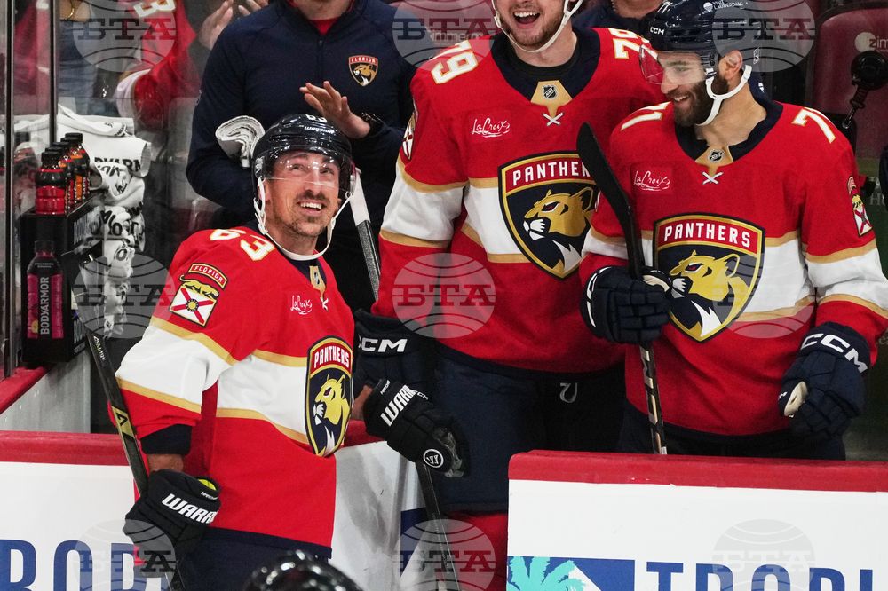 Capitals Panthers Hockey