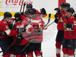 Capitals Panthers Hockey