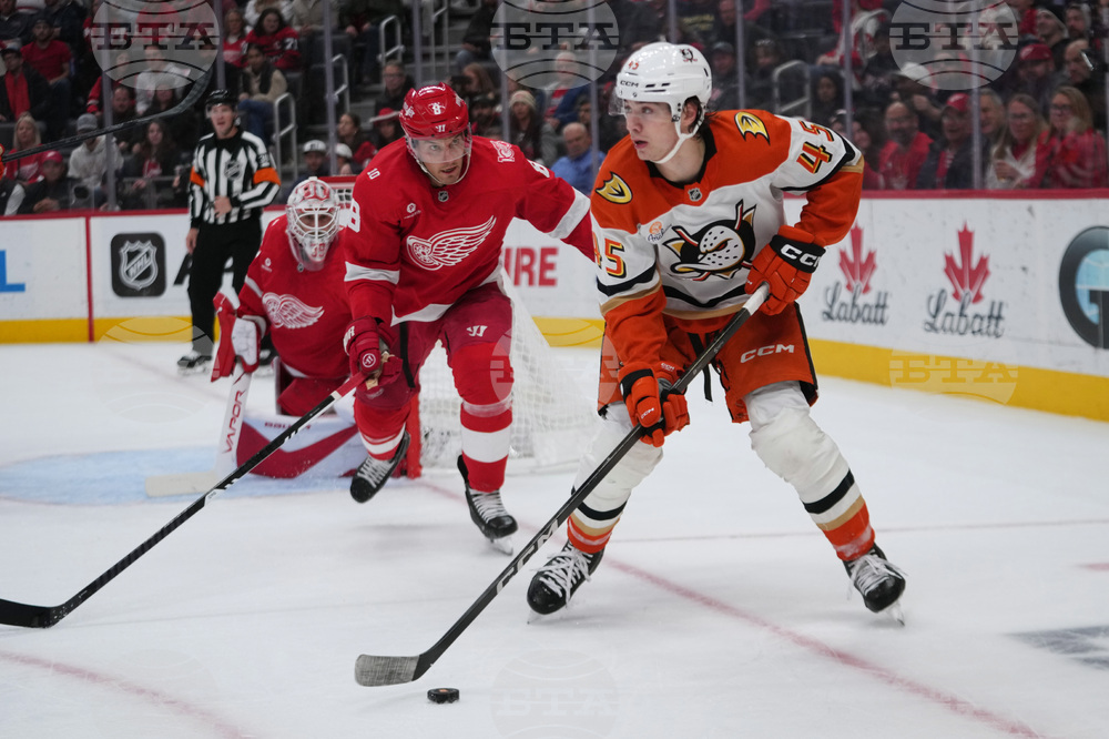 Ducks Red Wings Hockey