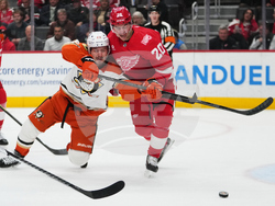 Ducks Red Wings Hockey