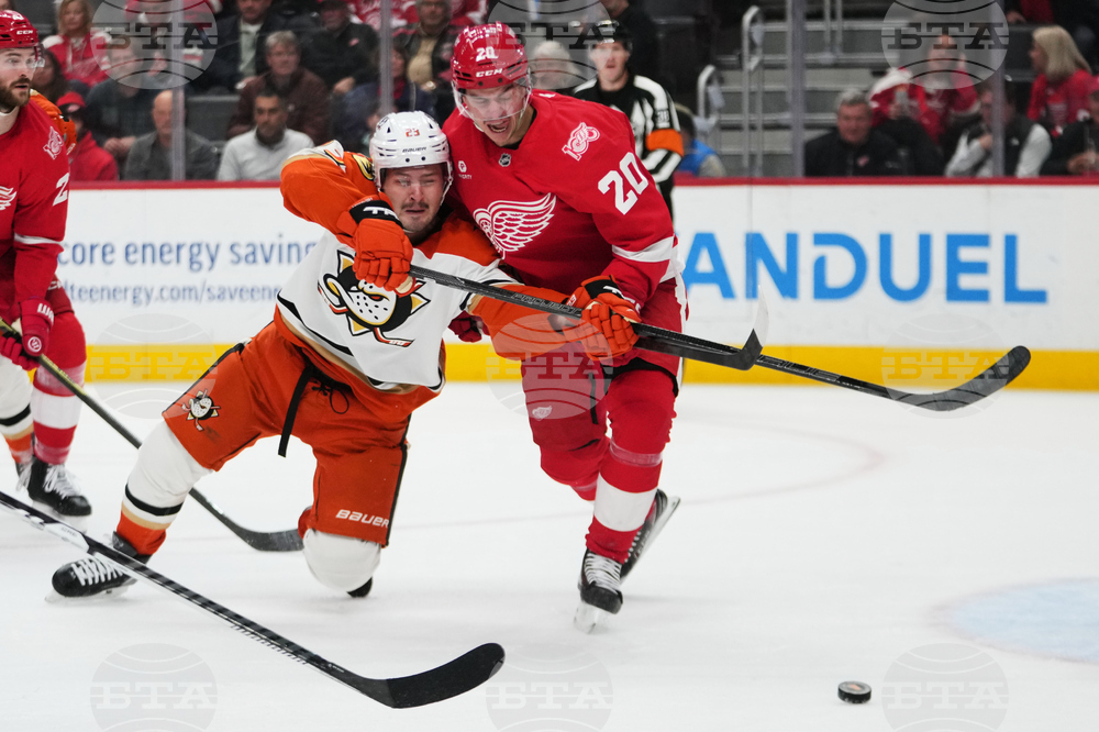 Ducks Red Wings Hockey