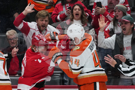 Ducks Red Wings Hockey