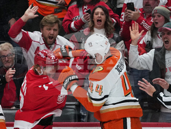 Ducks Red Wings Hockey