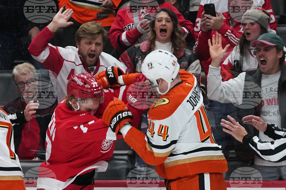 Ducks Red Wings Hockey