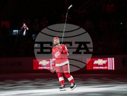 Ducks Red Wings Hockey