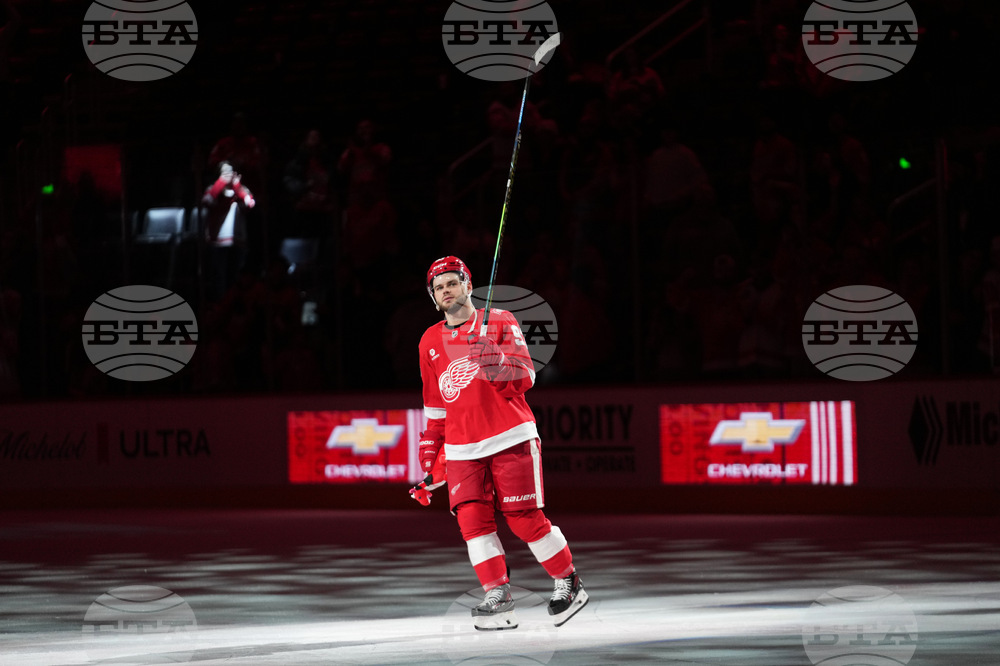 Ducks Red Wings Hockey