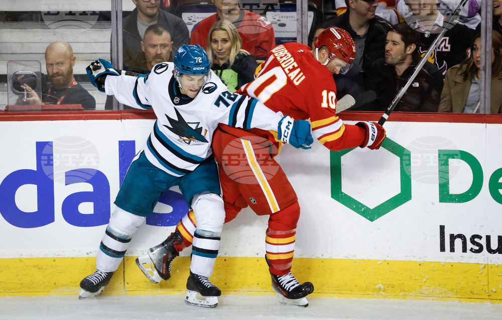 Sharks Flames Hockey