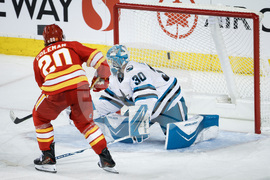 Sharks Flames Hockey
