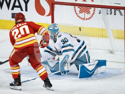 Sharks Flames Hockey
