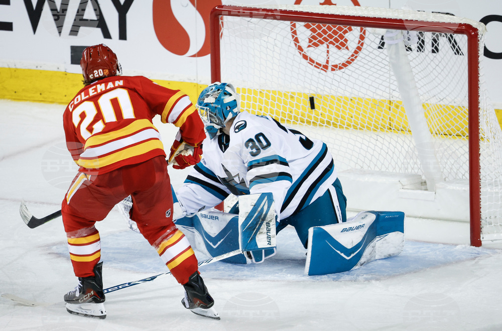 Sharks Flames Hockey