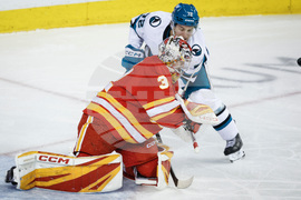 Sharks Flames Hockey