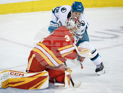 Sharks Flames Hockey