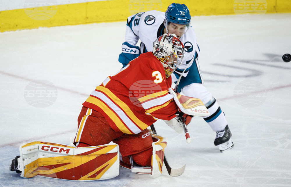 Sharks Flames Hockey