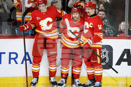 Sharks Flames Hockey