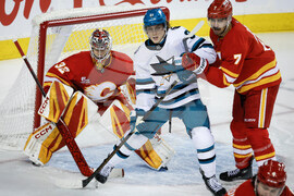 Sharks Flames Hockey