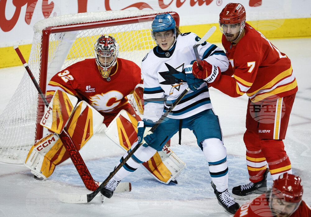 Sharks Flames Hockey