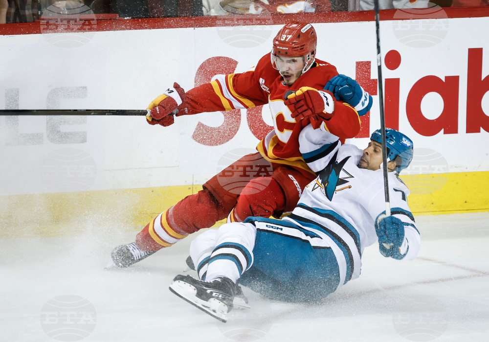 Sharks Flames Hockey