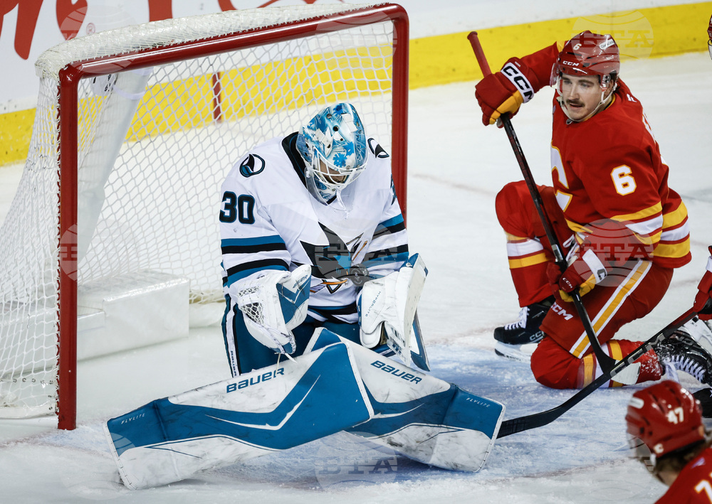 Sharks Flames Hockey