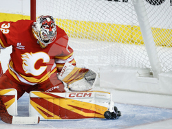 Sharks Flames Hockey