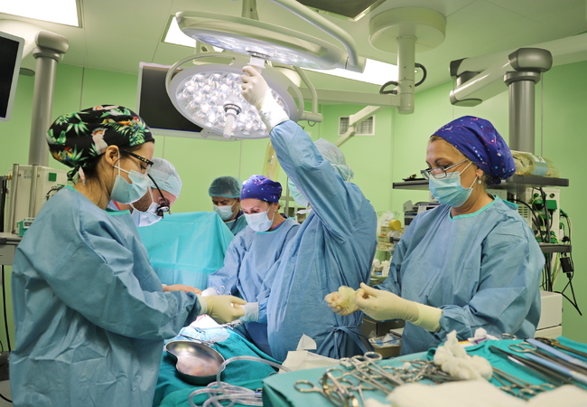 First Kidney Transplants Performed at Sofia's Military Medical Academy