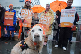 Britain Doctors Strike