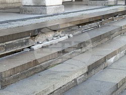 Втора многопрофилна градска болница за активно лечение - оглед - среща