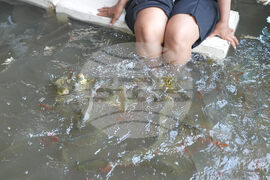 Thailand Flooded Restaurant