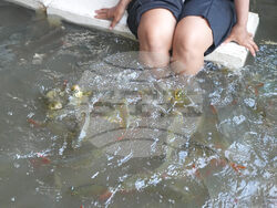 Thailand Flooded Restaurant