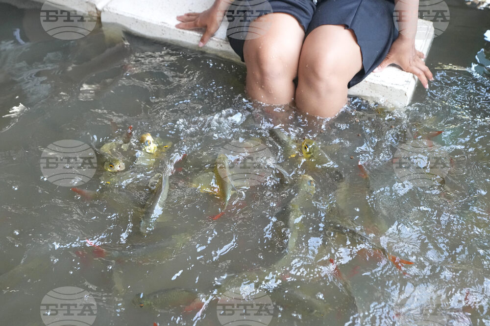 Thailand Flooded Restaurant