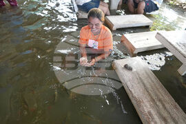 Thailand Flooded Restaurant