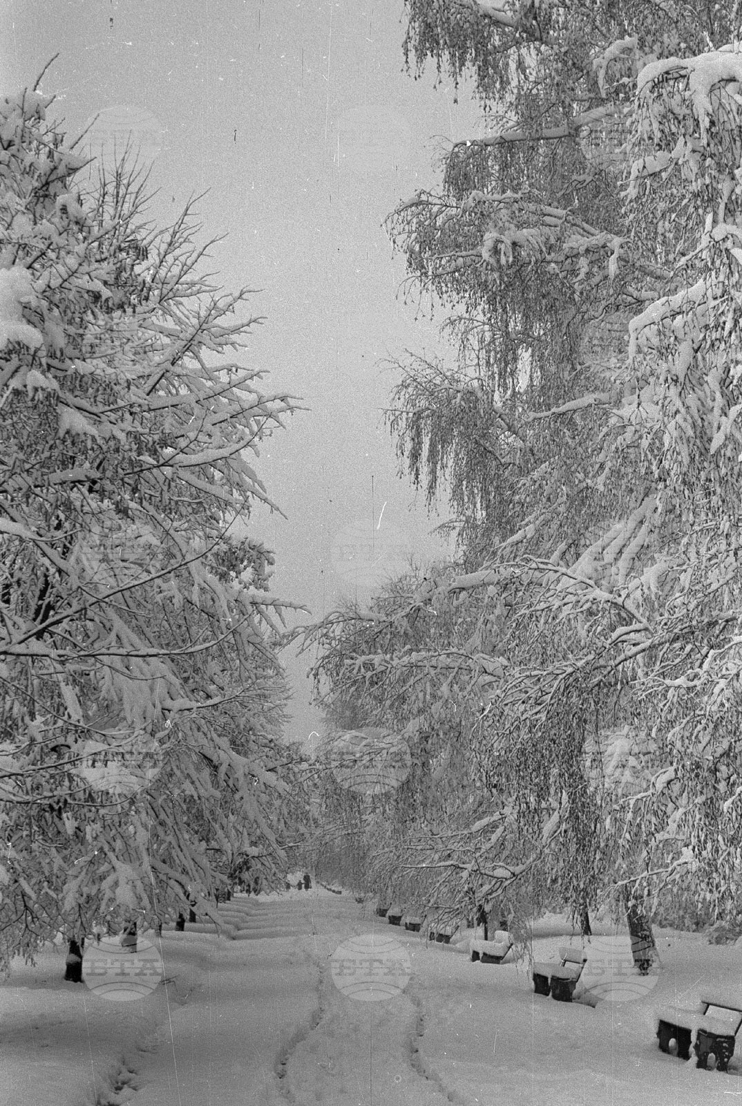 Снежна София през 1954 година