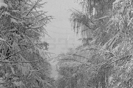 Снежна София през 1954 година