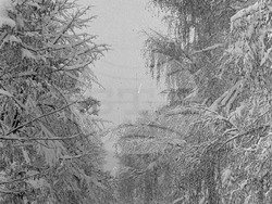 Снежна София през 1954 година