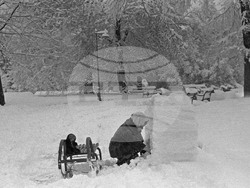 Снежна София през 1954 година