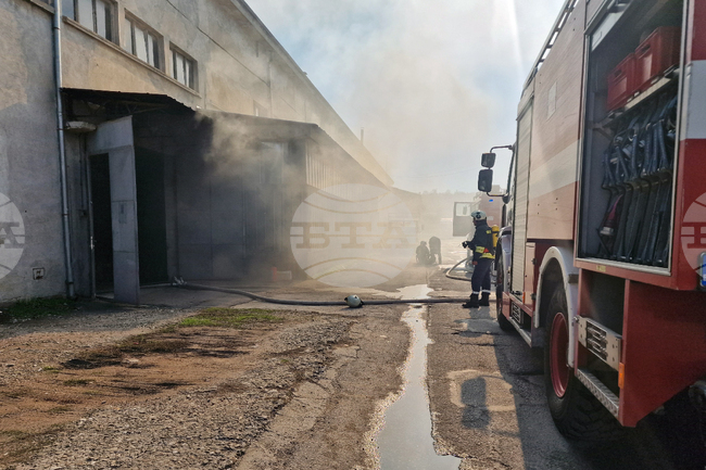 Общо 46 пожара са потушени в страната през последното денонощие, един е пострадал