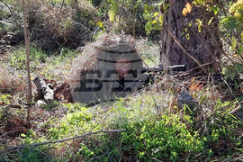 Враца - военно формирование - Ден на отворени врати