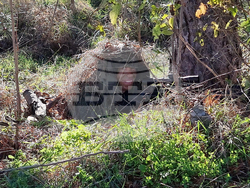 Враца - военно формирование - Ден на отворени врати