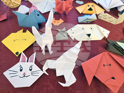 Плевен - Дни на японската култура