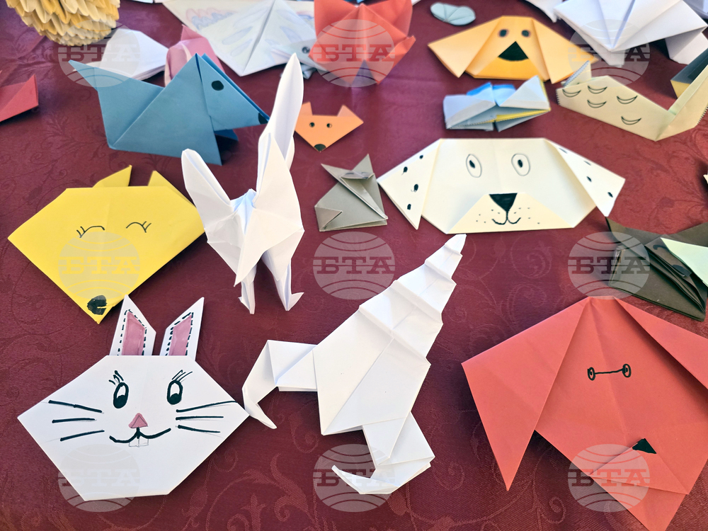 Плевен - Дни на японската култура