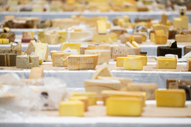Switzerland Cheese