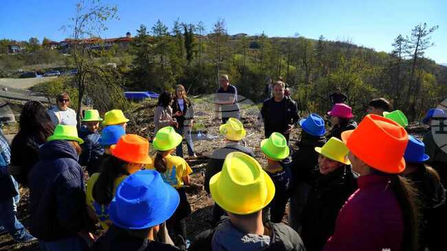 Първите брези и чинари бяха засадени на опожарения през лятото хълм Гарга баир край Велико Търново
