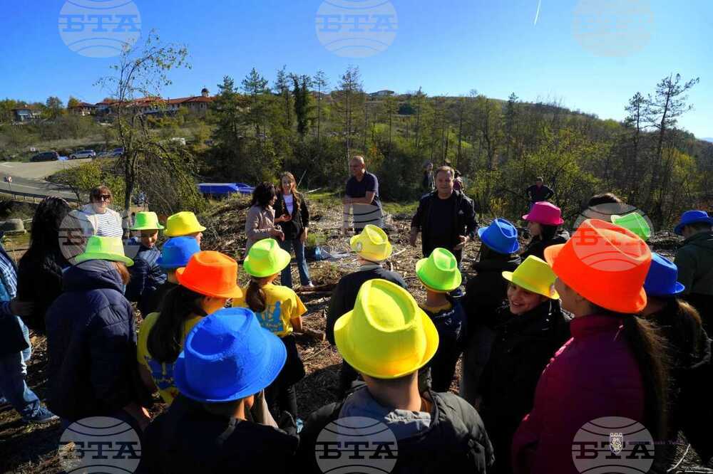 Първите брези и чинари бяха засадени на опожарения през лятото хълм Гарга баир край Велико Търново