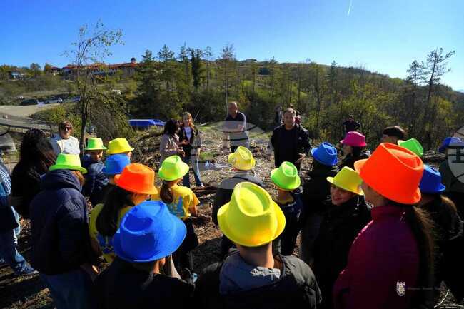Първите брези и чинари бяха засадени на опожарения през лятото хълм Гарга баир край Велико Търново