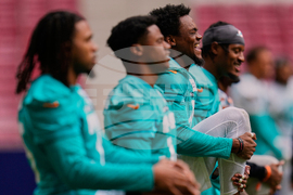 Dolphins Football