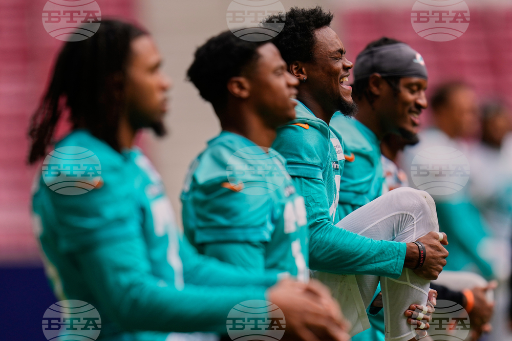 Dolphins Football